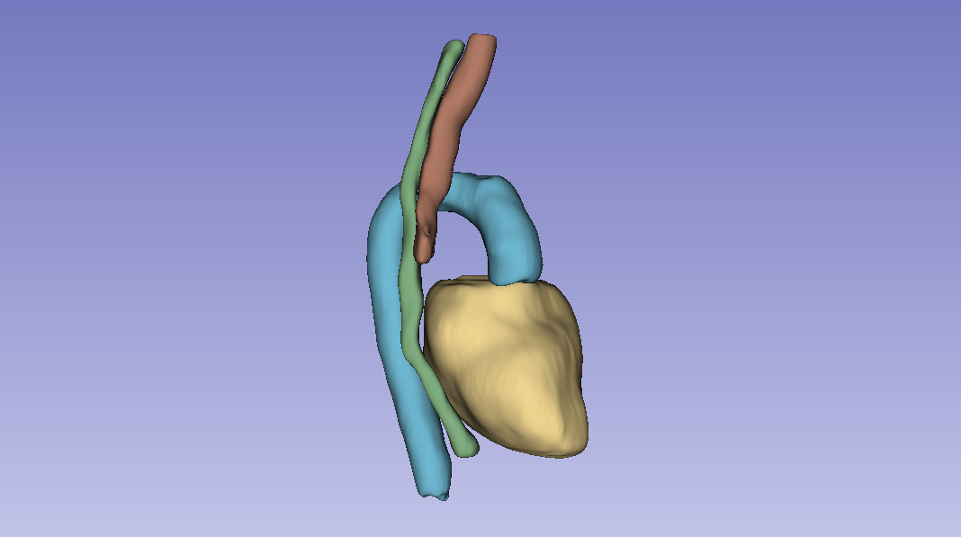 3D Organ Segmentation by nnU-Net